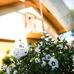 Liska Apartment *