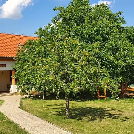 Liska * Radava