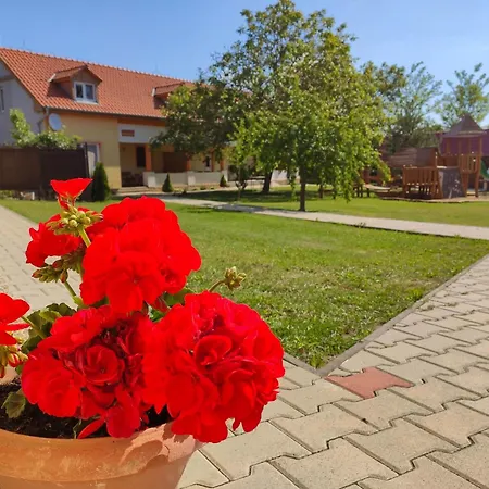 Liska Radava