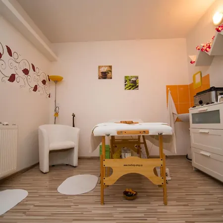 Apartment Liska *
