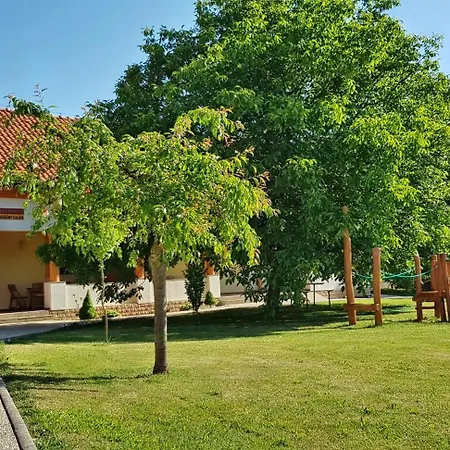 Liska Radava