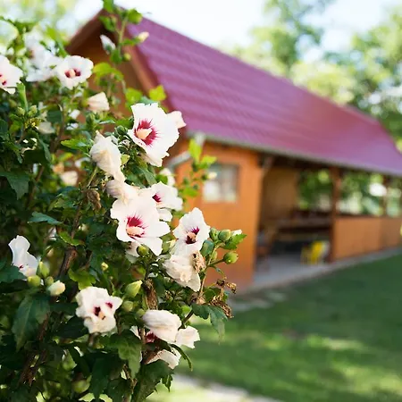 Liska * Radava